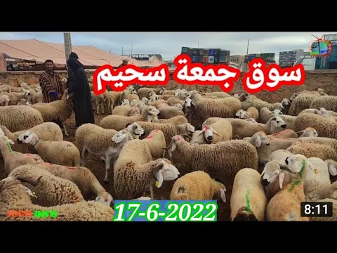 اليوم 17-6-2022 .. سوق جمعة سحيم .. ثمن خروف العيد