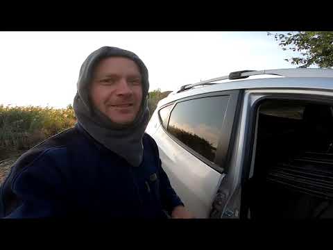 Карп и килограммовая карась на фидер с берега 🎣