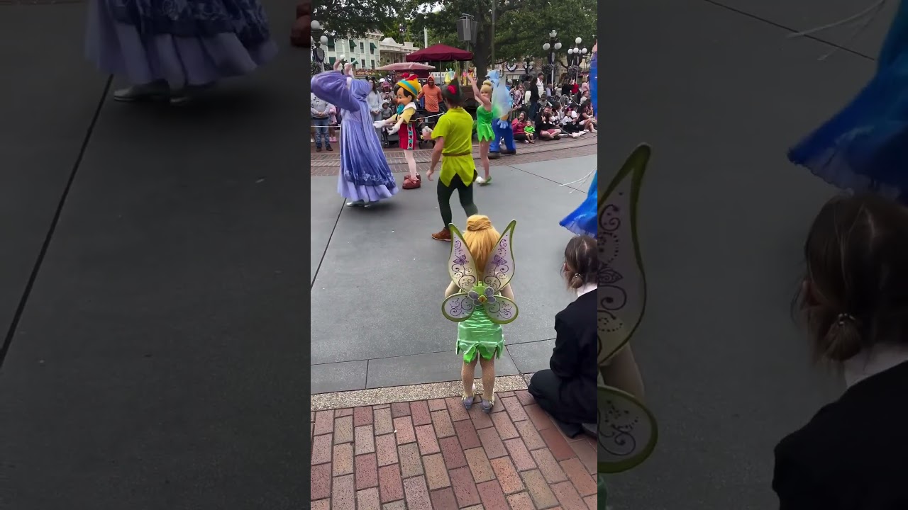 Esta niña fue a conocer a esta hada en un desfile 👏