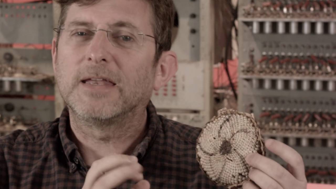 Turing’s Sunflowers: Celebrating Alan Turing’s Legacy Through Citizen Science 🌻