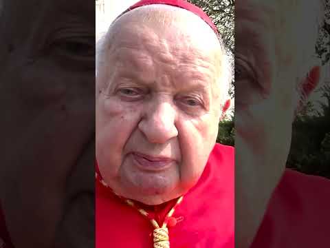 Kard. Dziwisz o Franciszku: w Krakowie sam sobie prał skarpetki, kiedy wszyscy spali, on się modlił