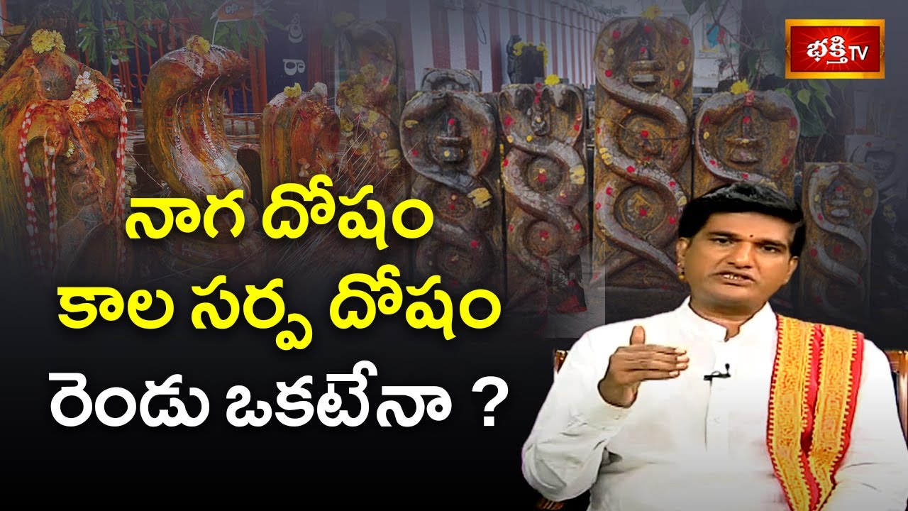 నాగ దోషం కాల సర్ప దోషం రెండు ఒకటేనా ? | Naga Panchami 2024| Dr.Sankaramanchi Ramakrishna Sastry