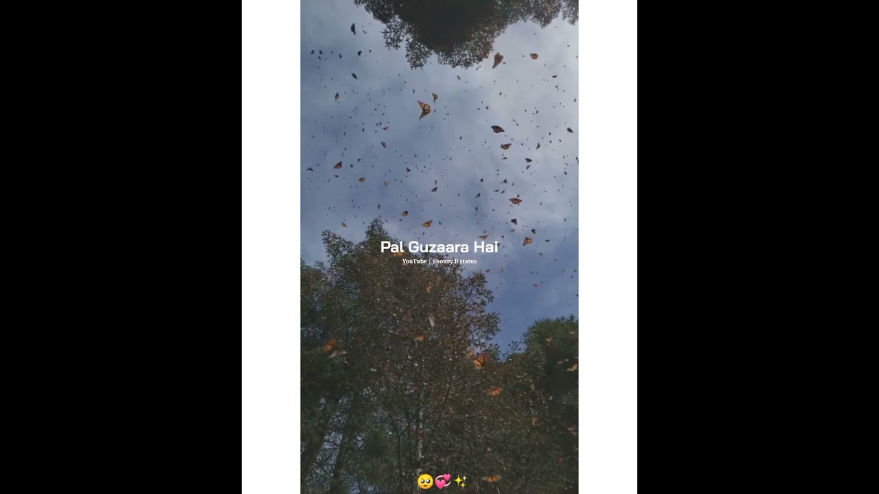 Dil Ka Rishta | Alka Yagnik & Udit Narayan | 2023 HD Status