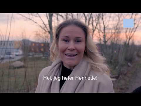 Rettsvitenskap bachelor UiS