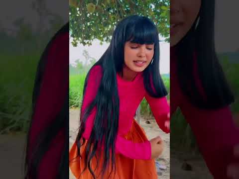 Fã Clube Brasil Irmãs Terra