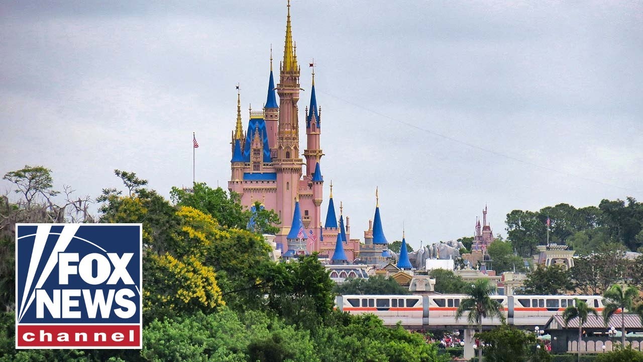 Dad Shocked by High Cost of Disney Trip 💸