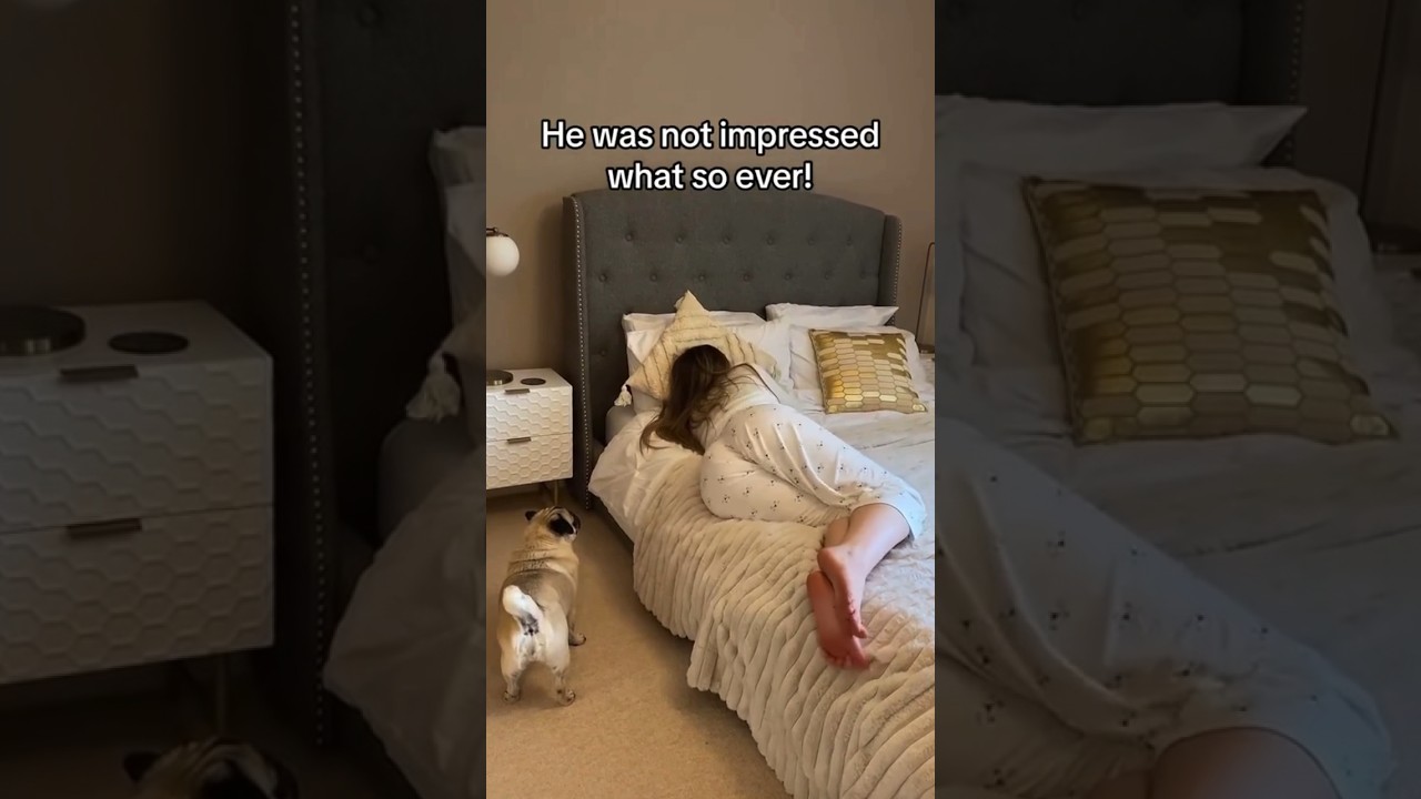 Girl Dancing & Yoga for Fitness & Chill 🎶