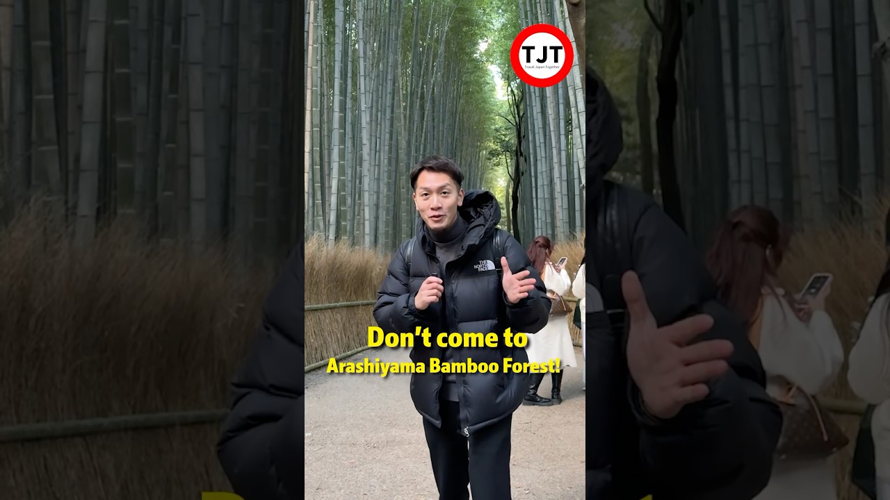 Explore Kyoto's Hidden Bamboo Forests 🎋