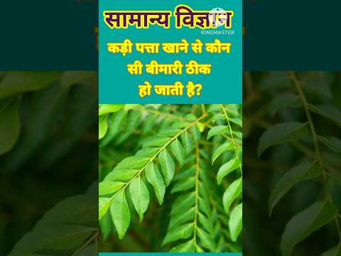 कड़ी पत्ता खाने से कौन सी बीमारी ठीक होती है ।। General knowledge science ।। #gk #viralvideo 👍💯🔥💘