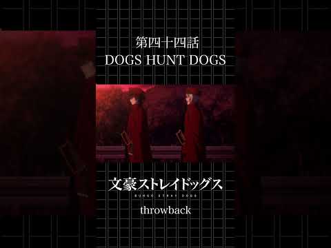 TVアニメ「文豪ストレイドッグス」 第四十四話「DOGS HUNT DOGS」 #bungosd #throwback