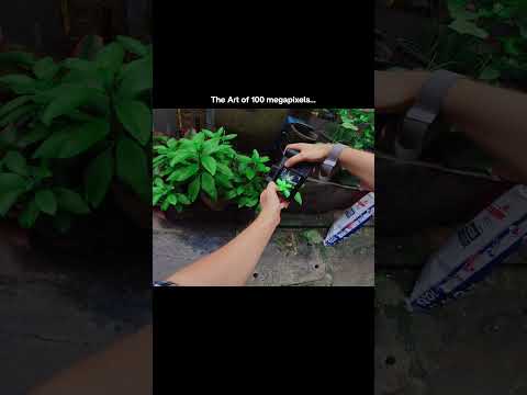 The Art of 100 Megapixels on the Hasselblad X2D 100C #hasselblad