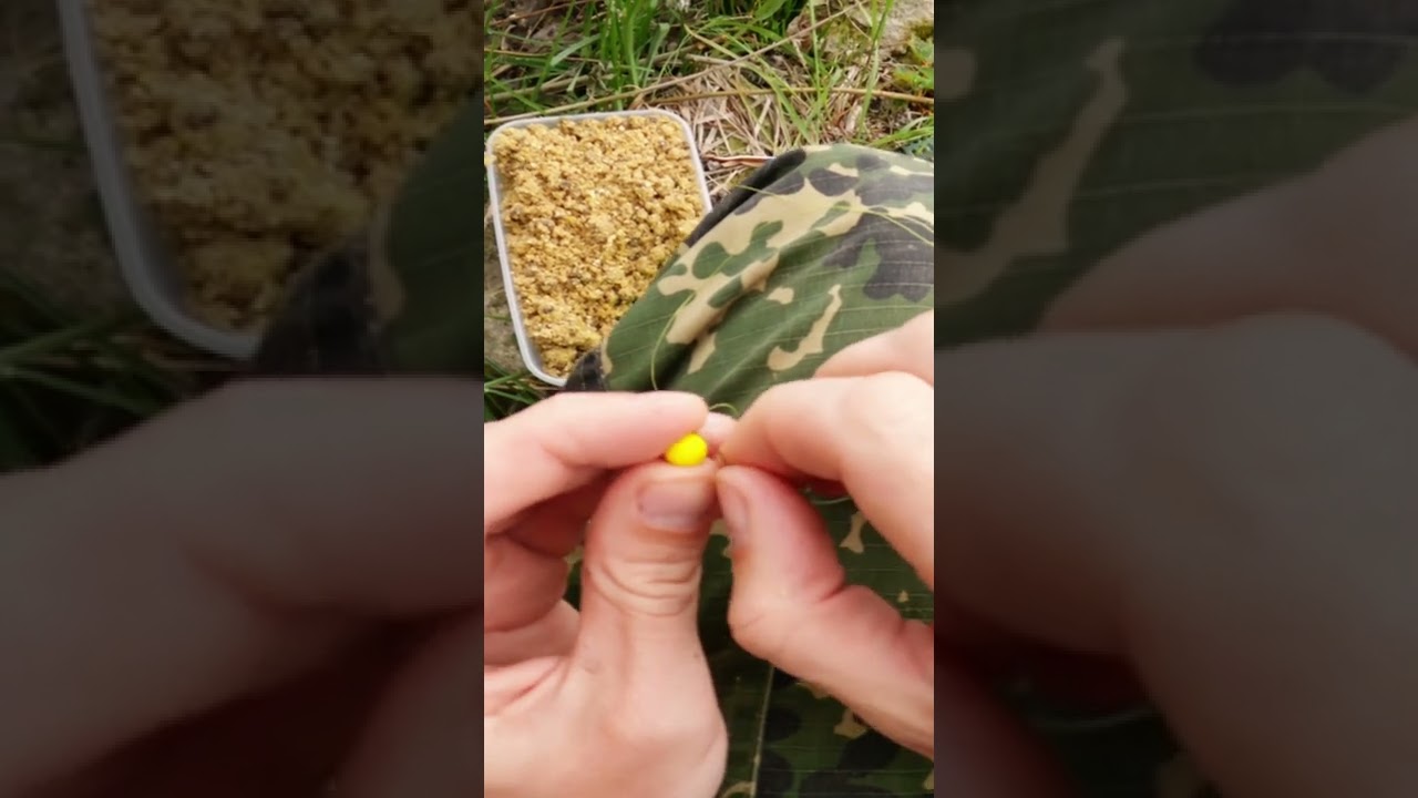 Как правильно насаживать бойлы для крупной рыбы на флэт-фидер 🎣