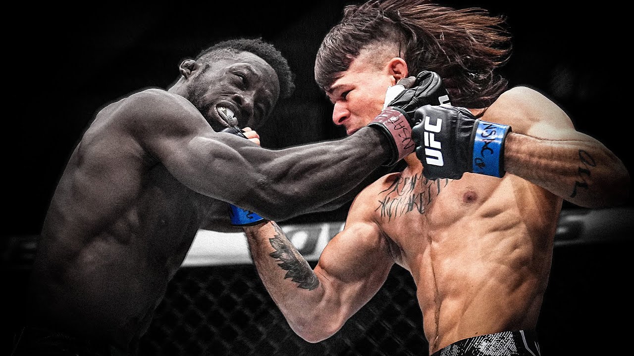 Grandes NOCAUTES do UFC que você pode não ter visto!