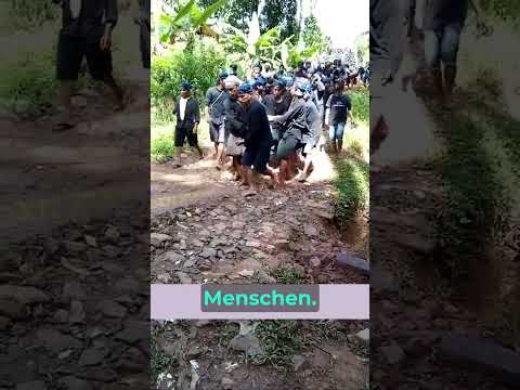 Oh mein Gott! 😲 In den Wäldern Floridas wurden 40 robotische Ratten ausgesetzt