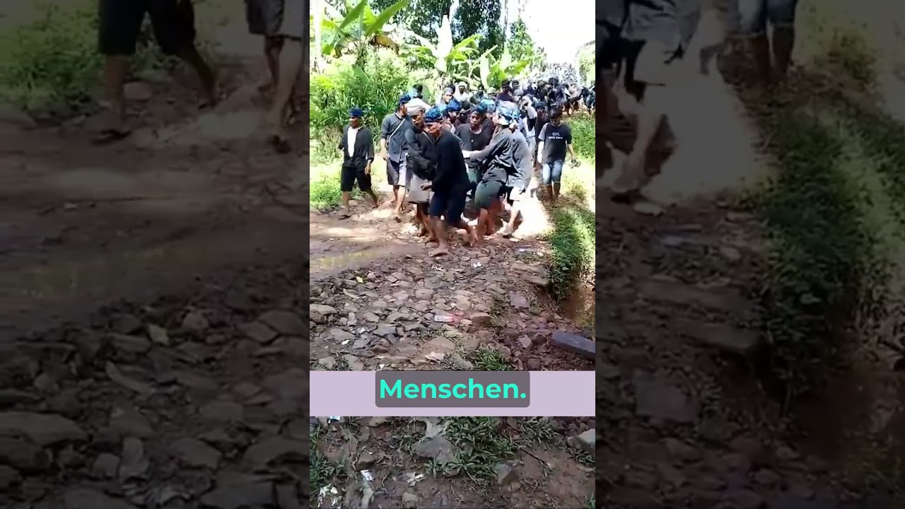 Schockierende Entdeckung: 40 täuschend echte robotische Ratten in Floridas Wäldern 🐀