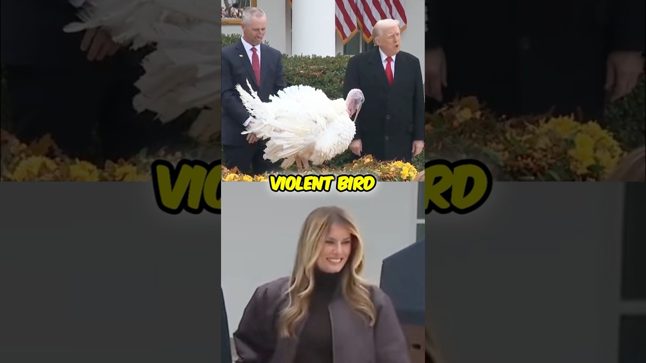 Trump Pardons Waddle & Gobble π¦ | Kimmel's Hilarious Jokes