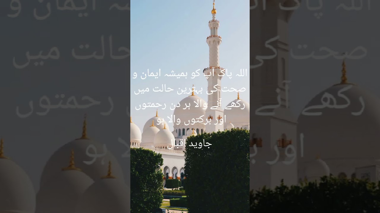 Islamic Teachings & Insights π