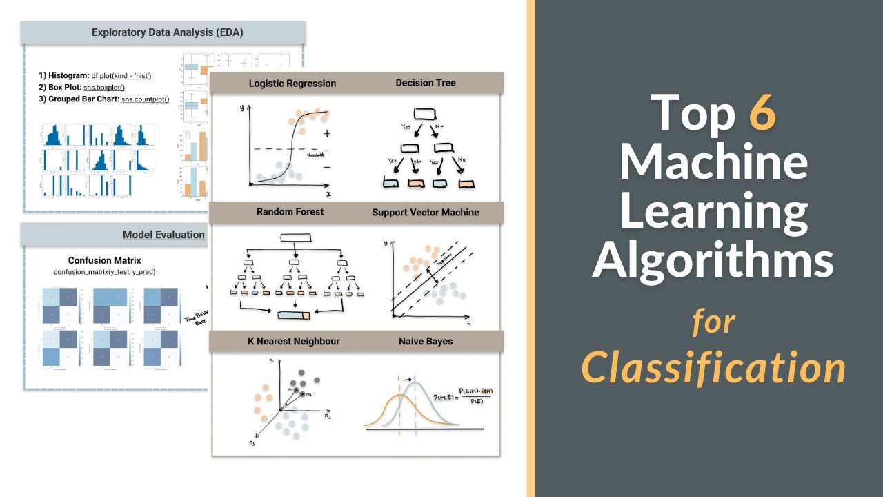 Top 6 Machine Learning Algorithms for Beginners | Master Classification 🧠