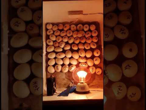 āĻĄāĻŋāĻŽā§āϰ āĻŦāĻžāĻā§āĻāĻž āĻā§āϞ⧠āĻāĻŋ āĻāĻžāĻŦā§ āĻĢā§āĻā§ #shorts #ai #viral #farming