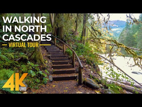 4K Relaxation Channel