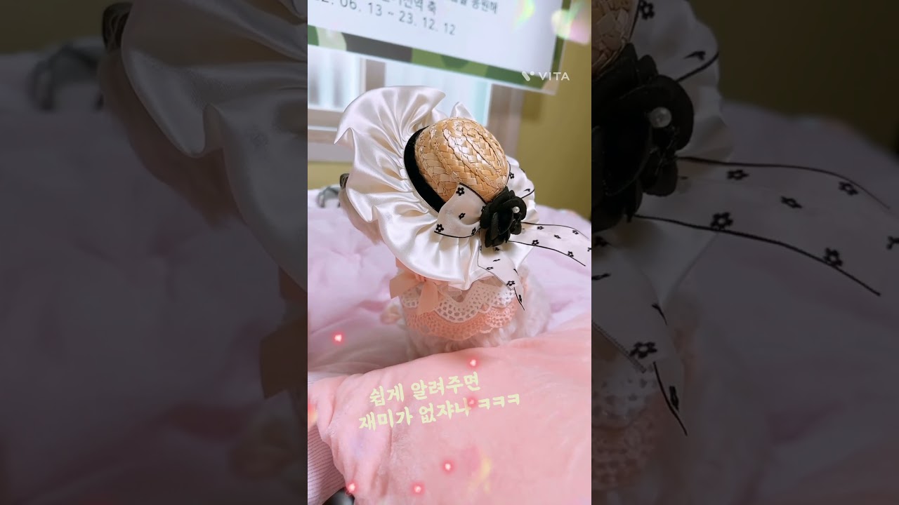 첫 만남! 달콩이와 인삼 먹는 말티즈 🐶