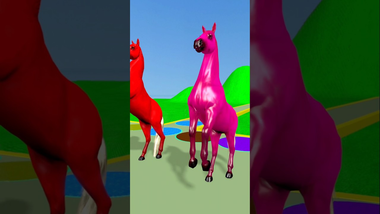 The Transformation of a Single Horse into Five Colorful Horses