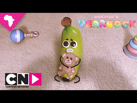 Why is Banana Joe like this? | Darwin's Yearbook | Cartoon Network Africa