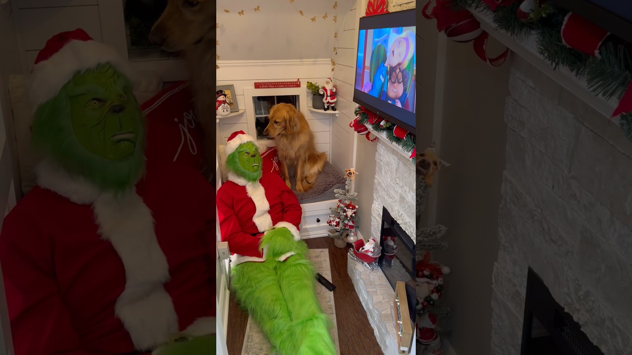 Dog's Christmas Movie Night ๐ถ๐