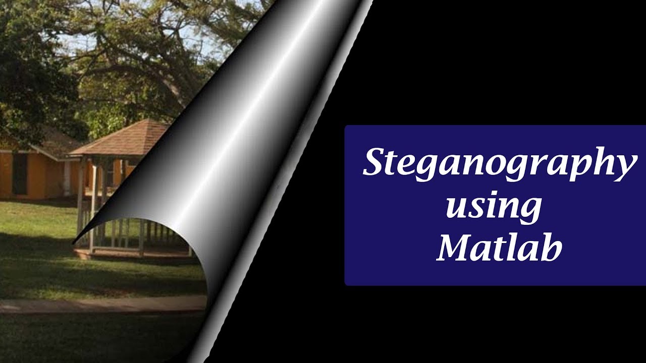 Steganography Techniques with Matlab