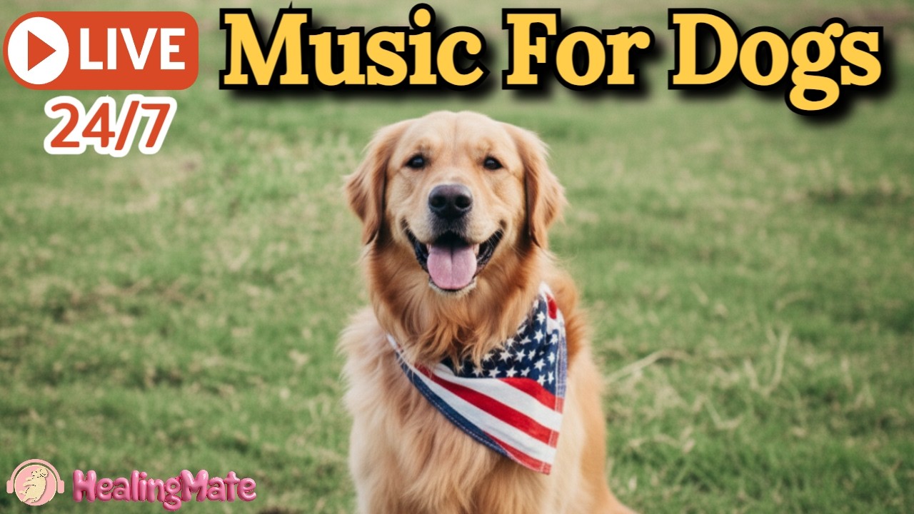 🔴24/7 Dog Music🎵🐶Calming Music for Dogs🐶Dog Stress Relief & Sleep Music🦮Music to Help Dogs Sleep🔴5