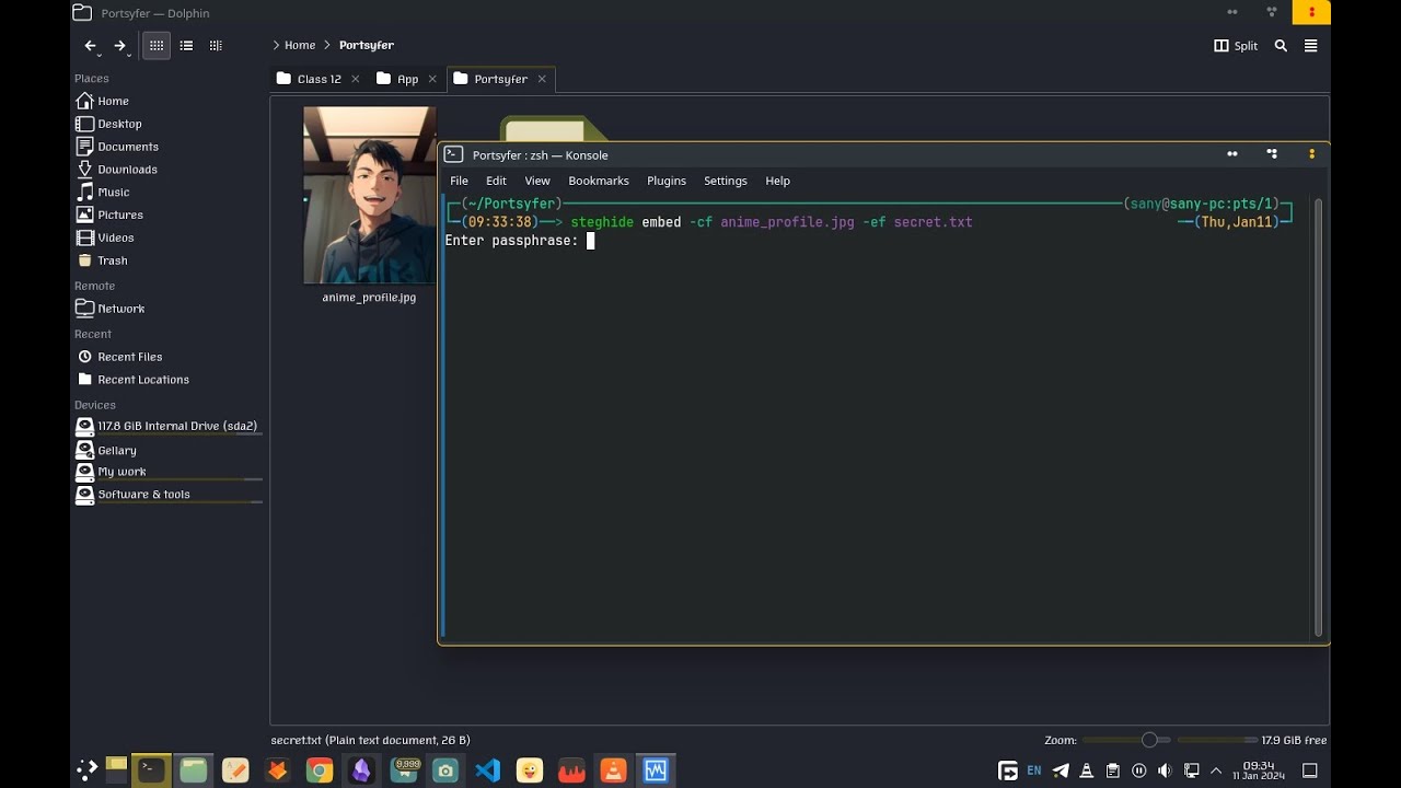 Master Steganography: Hide Your Secret Text in Images with Steghide π