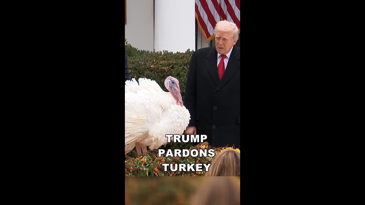 Trump Continues Tradition, Pardons Turkeys Gobble & Waddle π¦