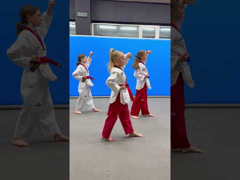 Poomsae 1 / TAEGEUK 1JANG #taekwondo #poomsae #kicks