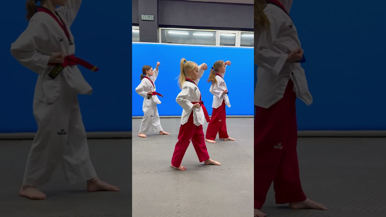 Poomsae 1 / TAEGEUK 1JANG - Taekwondo Poomsae Training