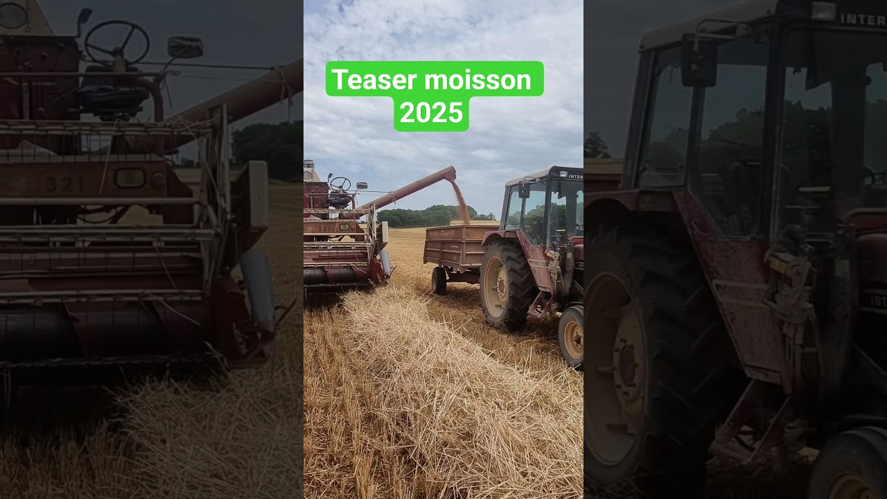 Moisson 2025 : Titine reprend du service 🚜
