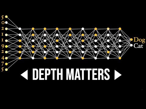 How Neural Networks Learn Concepts