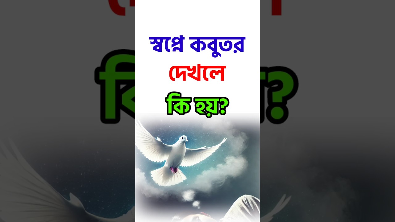 স্বপ্নে কবুতর দেখলে কি হয়? #shorts #islamic