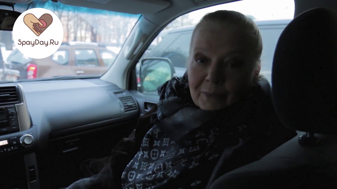 Людмила Сенчина рассказывает о важности проекта SpayDay 🐾