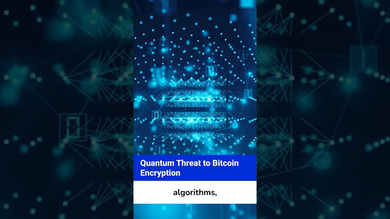 Is 25% of Bitcoin at Risk from Quantum Attacks? 🔒