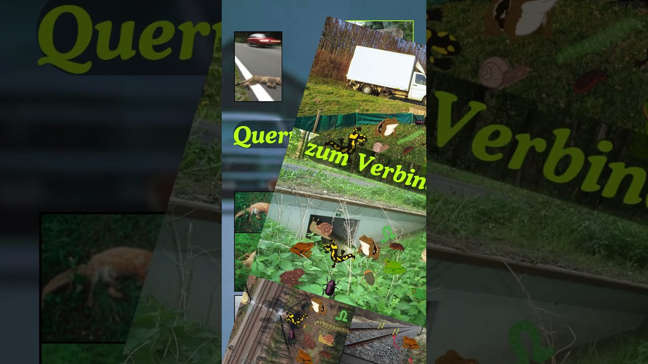 Nur noch 5 Tage bis zur BTW25 🌱