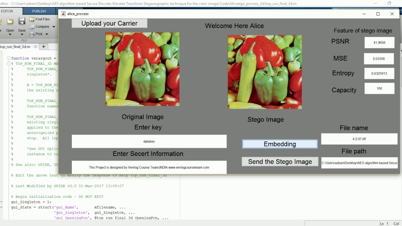 Enhanced Image Security with AES-Based Discrete Wavelet Transform Steganography 🔒