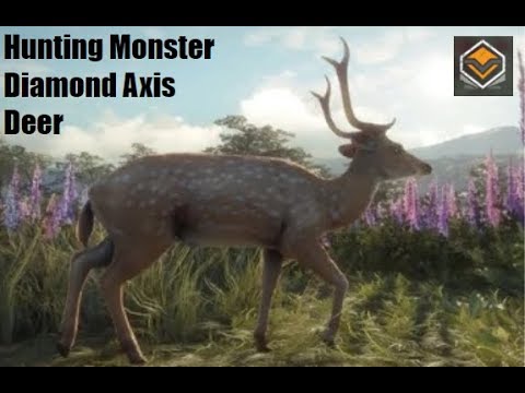 Hunt Large Diamond Axis Deer in theHunter: Call of the Wild 🦌