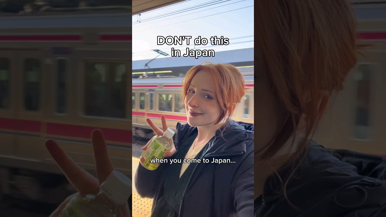 Essential Travel Tips to Save Your Japan Trip