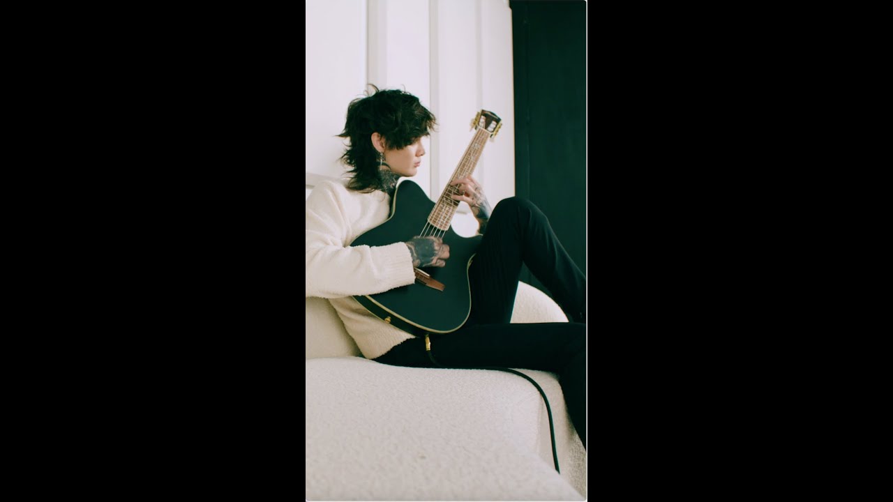 Tim Henson Signature Ibanez TOD10N Nylon Guitar 🎸