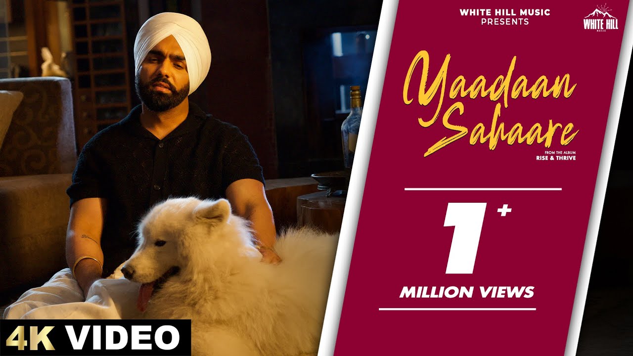 Ammy Virk's 'Yaadaan Sahaare' Official Video 🎶