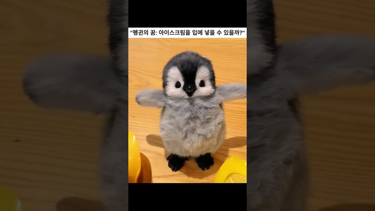 아기 펭귄, 첫 아이스크림 도전! 🐧