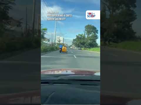Aso, nakatayo sa bubong ng isang tricycle habang umaandar | GMA Integrated News