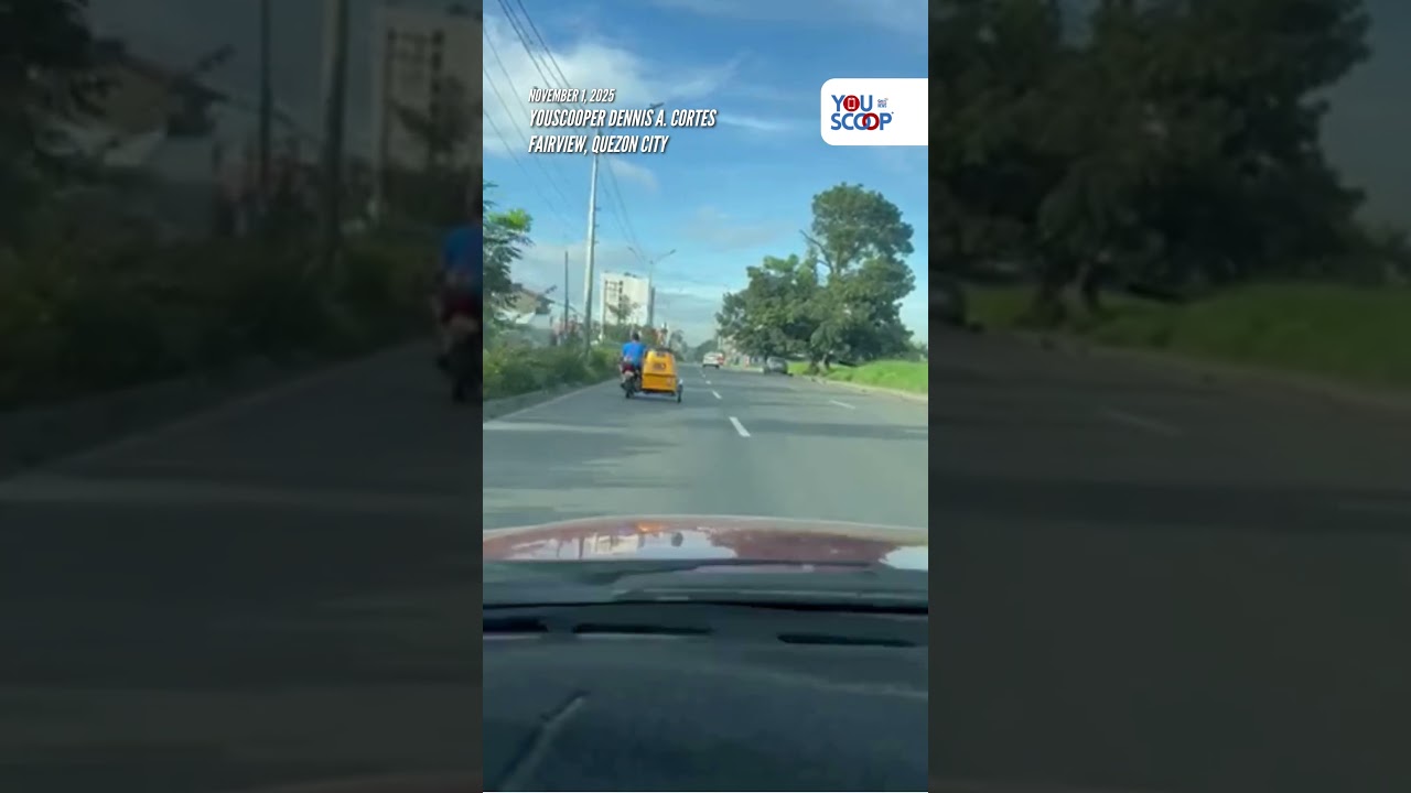Aso Nakatayo sa Bubong ng Tricycle habang Naka-angkla sa Kalsada