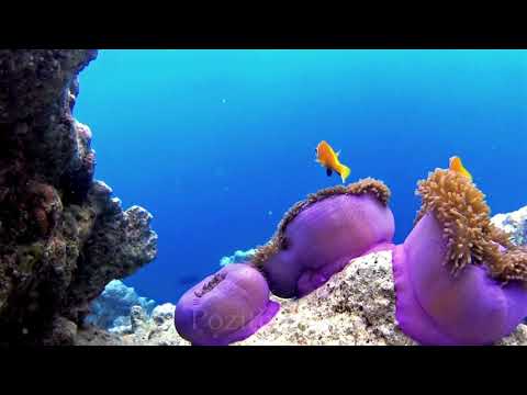 Потрясающе красивая  музыка до глубины души! Послушайте!