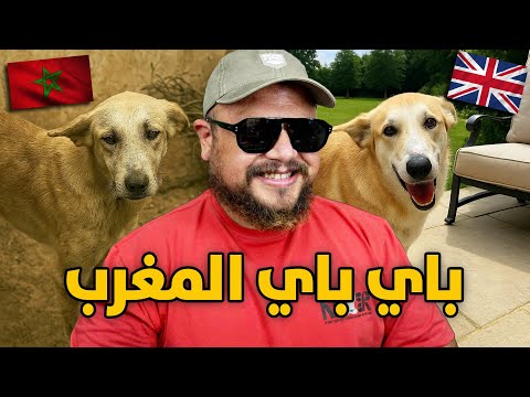 أكثر كلب محظوظ في المغرب كامل